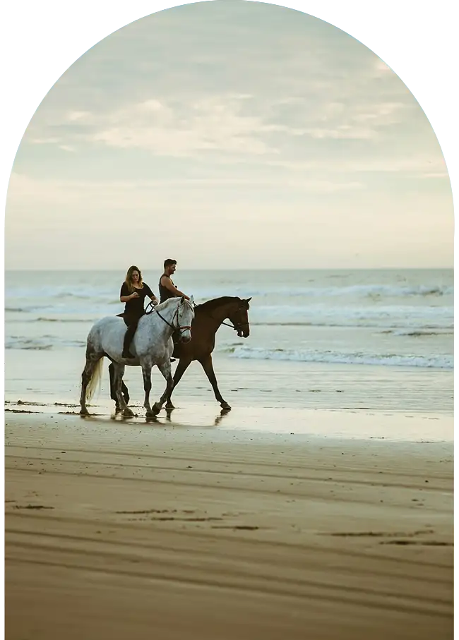 Romantic horseback ride at sunset on Essaouira beach