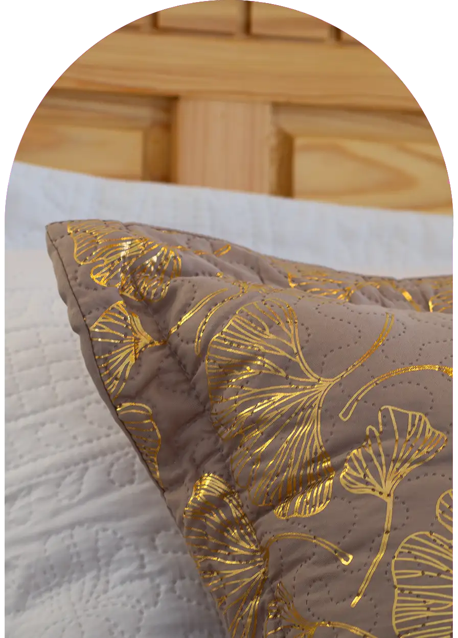 Close-up of a satin pillow with gold embroidery in a riad in Essaouira