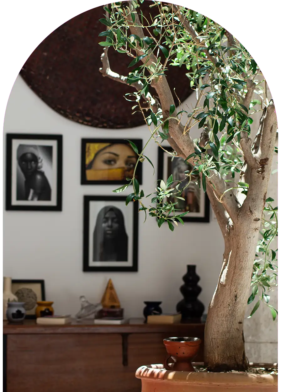 Details of the riad patio in Essaouira with indoor tree, Moroccan decoration and wall portraits